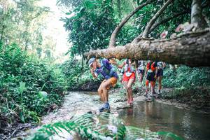 BIB: 
                            <button type="button" onclick="openModal(25443926)" class="btn btn-primary btn-sm float-right btn-popup" data-toggle="modal" data-target=".modal-high-quality">
                        <i class="fas fa-shopping-cart"></i> Add to Cart
                    </button>
                                            <button type="button" onclick="isThisMe(25443926, true)" class="btn btn-success btn-sm float-right btn-popup btn-isme hidden" data-toggle="tooltip" data-placement="bottom" title="นี่คือรูปของคุณใช่ไหม คลิกที่นี่เพื่อเอาเข้าอัลบั้ม">
                        <i class="fas fa-plus"></i> Add to album
                    </button>
                    <button type="button" onclick="isThisMe(25443926, false)" class="btn btn-warning btn-sm float-right btn-popup btn-isnotme hidden">
                        <i class="fas fa-ban"></i> Remove from album
                    </button>